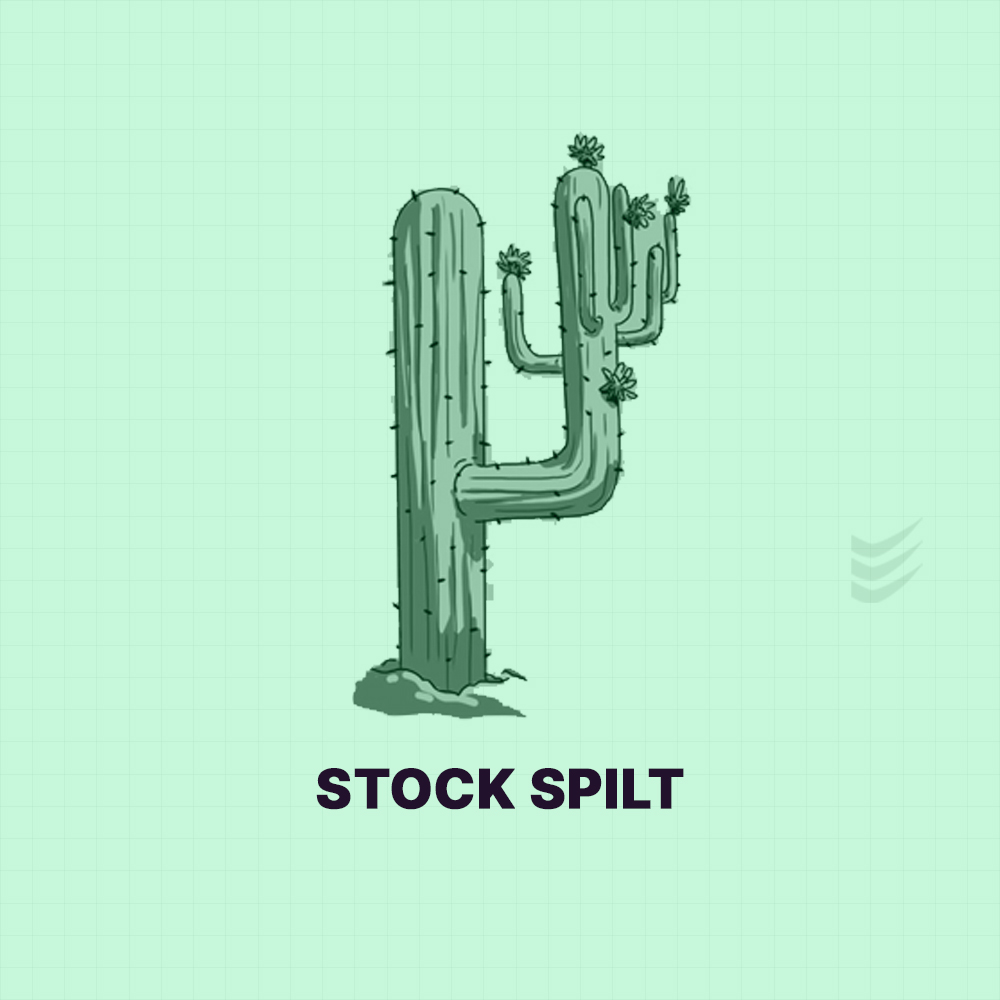 Featured image for What is a stock split ?