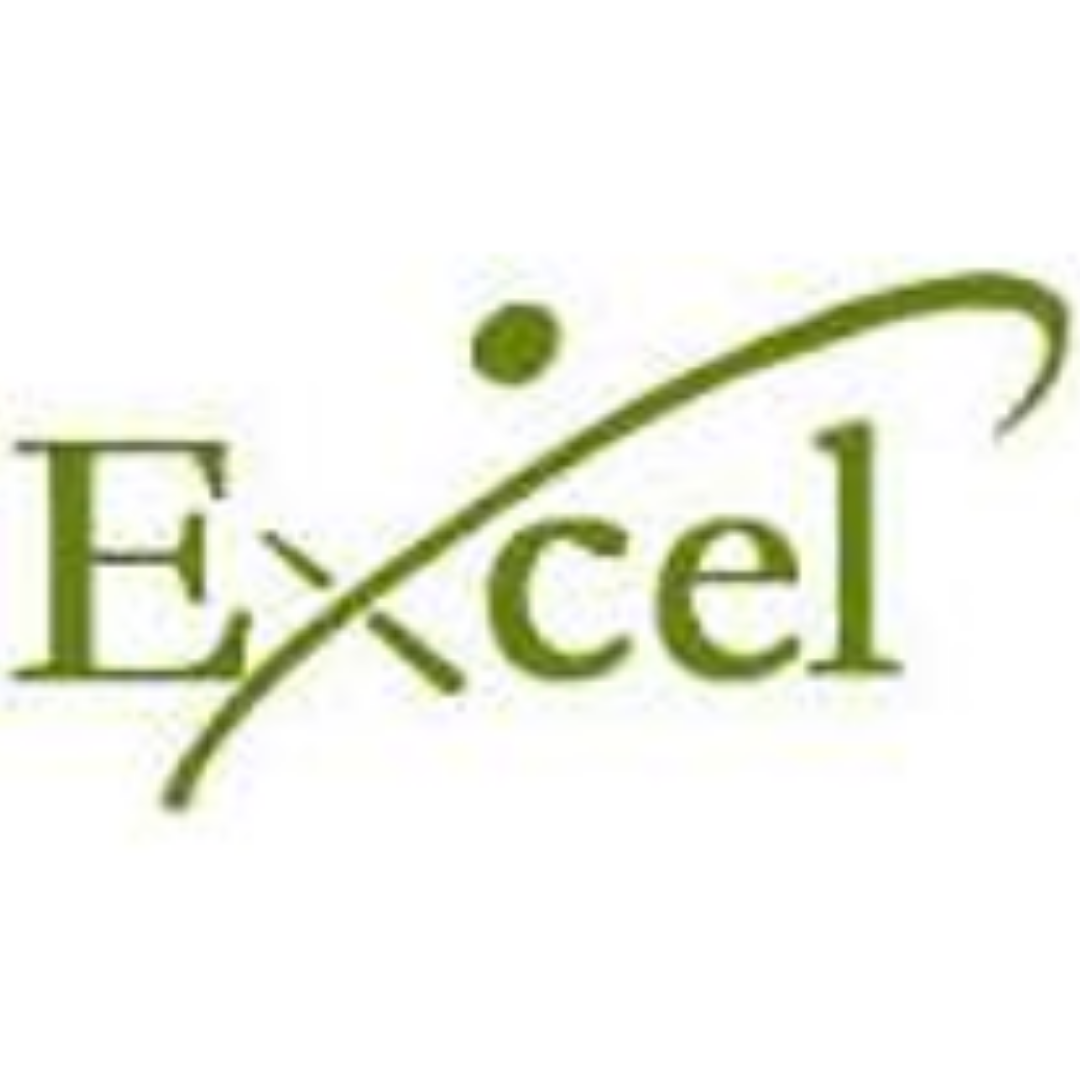 Excel Realty