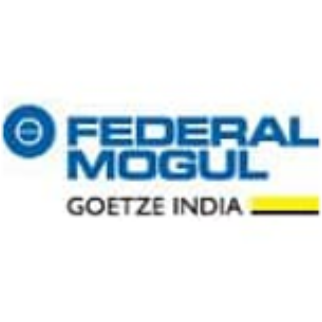 Federal-Mogul Goetze