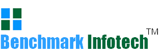 BENCH MARK INFOTECH SERVICES LIMITED logo
