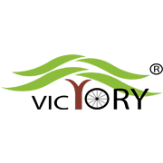 Victory Electric Vehicles International Ltd.