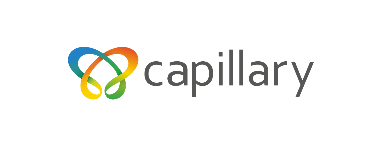 Capillary Technologies India Ltd.