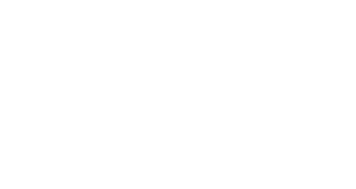 Orient Cables (India) Limited logo