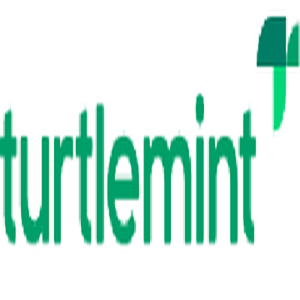 Turtlemint Fintech Solutions Limited logo